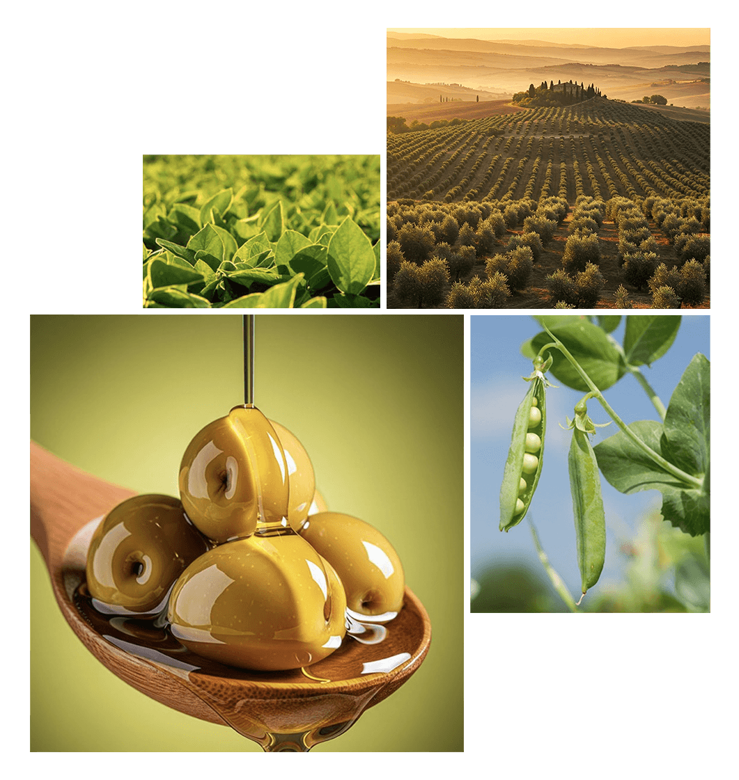 Our ingredients